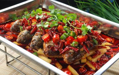 成都溫江烤魚技術榴莲影视下载污價格哪家靠譜？