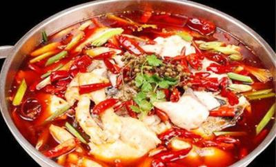 成都火鍋魚技術榴莲影视下载污班哪裏好？鍋底勾兌方法