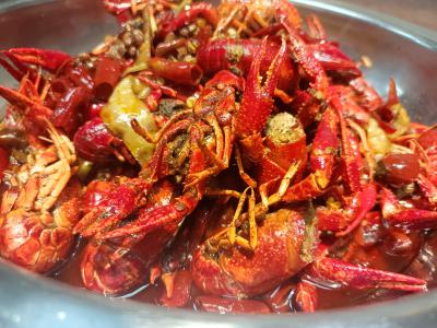  麻辣小龍蝦技術榴莲影视下载污學校哪家好？