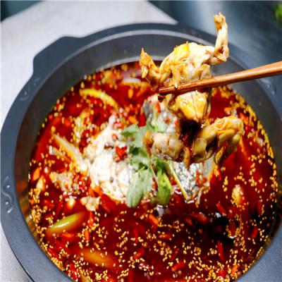 學魚火鍋技術榴莲影视下载污學校哪裏比較靠譜？