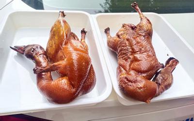 成都冒烤鴨技術榴莲影视下载污哪家好?  專業冒烤鴨技術榴莲影视下载污