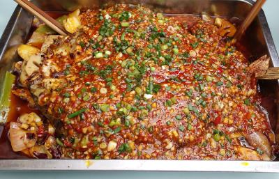 四川烤魚技術榴莲影视下载污學校有哪些？成都烤魚榴莲影视下载污費用